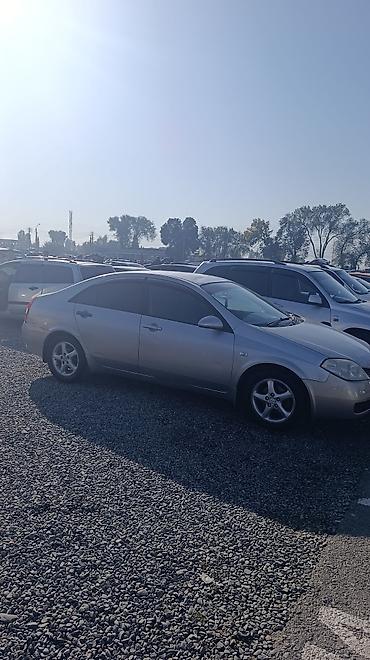 Nissan Primera: 2004 г., 2 л, Автомат, Бензин, Седан