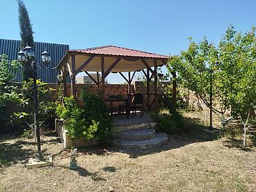sibriz: Bakı, Pirşağı qəs., 45 kv. m, 1 otaqlı, Hovuzsuz, İnternet — 2
