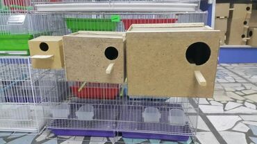 Зоотовары: Гнёзда для птиц! — 10