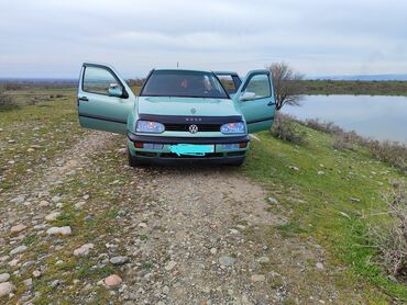 авто сивик: Volkswagen Golf: 1994 г., 2 л, Механика, Бензин, Хетчбек