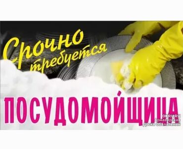 жумуш посудомойщица: Талап кылынат Идиш жуучу, Төлөм Күн сайын