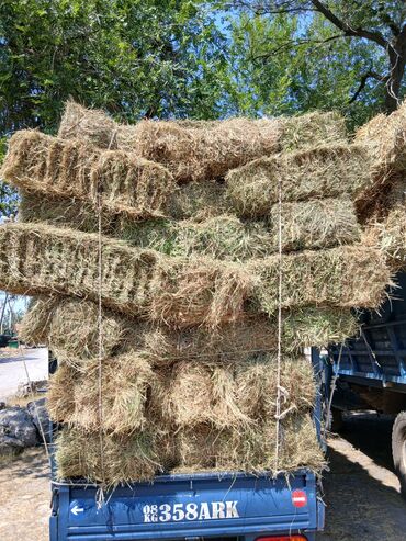 продам ячмень оптом: Продаю горное сено 100 туков цена 220