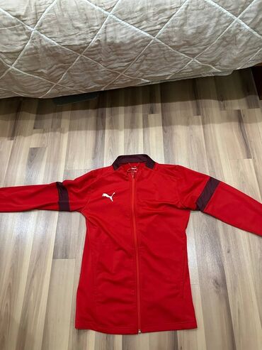 носки парные: Спортивная кофта Puma на молнии Оригинал!!! - Цвет: красный с