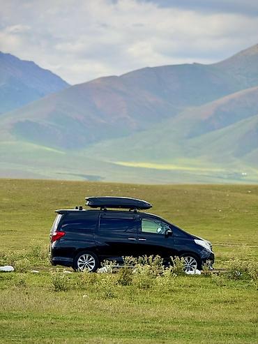 Toyota: Toyota Alphard: 2008 г., 3.5 л, Автомат, Бензин, Минивэн — 14