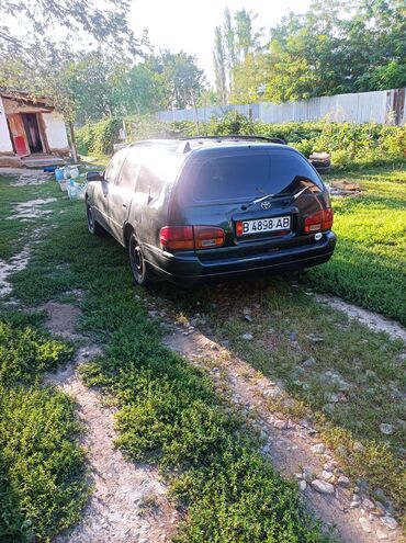 Toyota: Toyota Camry: 1995 г., Бензин, Универсал — 21