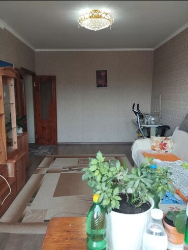 Продажа домов: 1 комната, 35 м², 106 серия, 8 этаж, Косметический ремонт