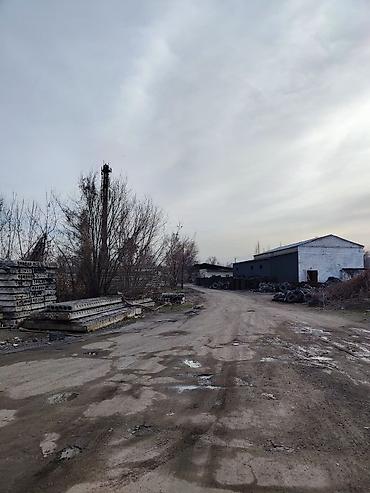 Продажа участков: 100 соток — 5