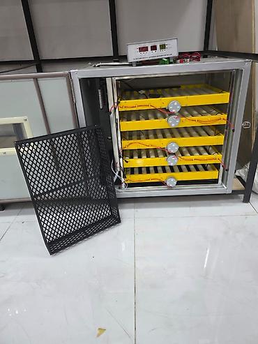 ZAVOD İSTEHSALI AĞILLI İNKUBATORLAR 💡 Tam Avtomatik Nəzarət Sistemi