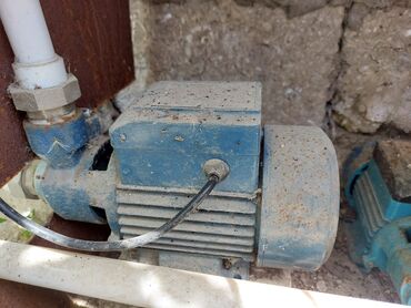 Toxumlar: Nasos, Ev üçün (məişət), quraşdırılma Səthi