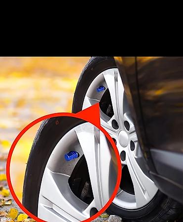 Другие аксессуары: В наличии продаются колпачки на ниппель колес — 6