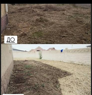 Уборка территории: Уборка территории, Уборка двора и сада — 3