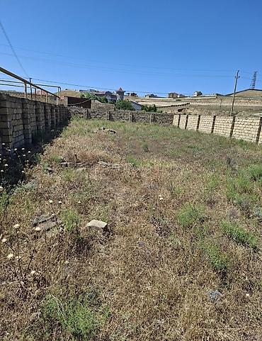 Torpaq: 6 sot, Tikinti, Kupça (Çıxarış) — 2
