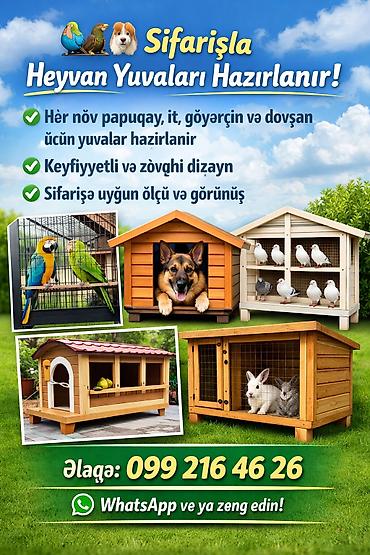 bu iti: Sifarişlə Heyvan Yuvaları hazırlanır! - Papuqay, it, göyərçin və — 1