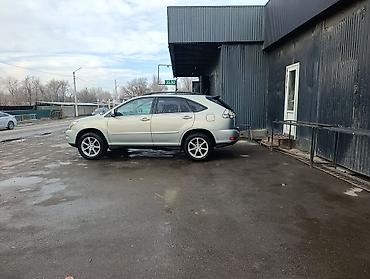 champ moto: Lexus RX: 2004 г., 3.3 л, Автомат, Бензин, Кроссовер — 2