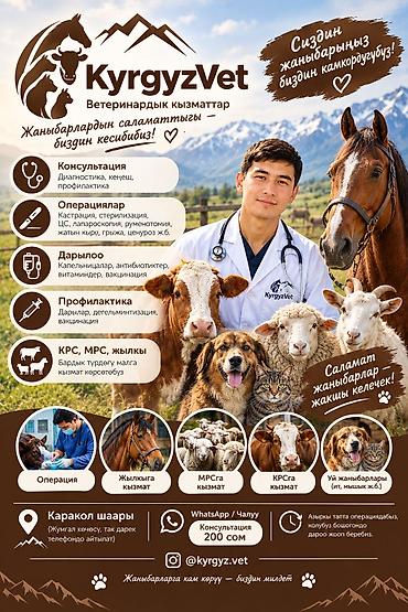 ритуальные услуги для собак: Квалифицированный ветеринарный врач🩺 Наши услуги: - Консультации — 1