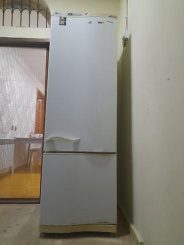 fen satisi: İki qapılı soyuducu (aşağıda dondurucu) - Üst bölmə: əsas soyutma — 1