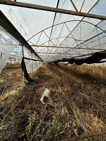 Kommersiya daşınmaz əmlakının satışı: Abseron Rayonu Məhəmmədli Qəsəbəsində Parnik satilir. Torpaq sahəsi 60 -da lalafo.az — 2 Kommersiya daşınmaz əmlakının satışı: Abseron Rayonu Məhəmmədli Qəsəbəsində Parnik satilir. Torpaq sahəsi 60 — 2