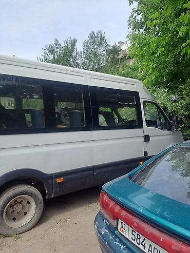 ивеко пассажирский: Iveco Daily: 2010 г., Бус — 3