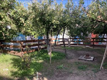 Продажа домов: Дом, 365 м², 15 комнат, Собственник, Евроремонт — 12