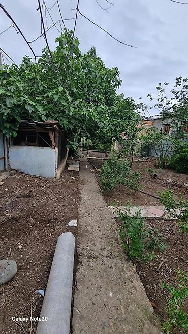 Darvazalar və aksesuarlar: İşlənmiş Dəmir Həyət darvazası, Yana açılan, Mexaniki, Qapı ilə, Kredit yoxdur — 7