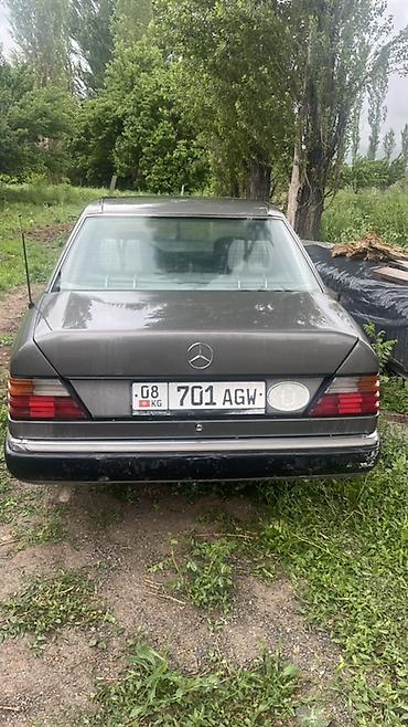 forester 2004: Mercedes-Benz W124: 1991 г., Механика, Бензин, Седан — 2
