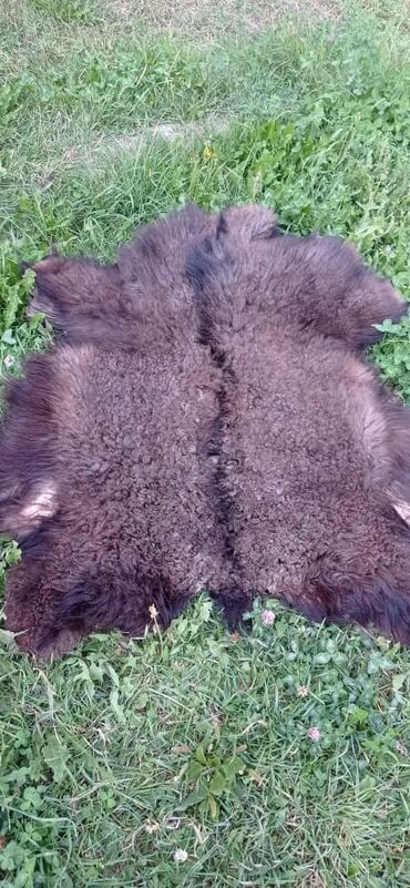 Ковры и паласы: Ковер Новый, Мех, Безналичная/наличная оплата at lalafo.kg — 3 Ковры и паласы: Ковер Новый, Мех, Безналичная/наличная оплата — 3