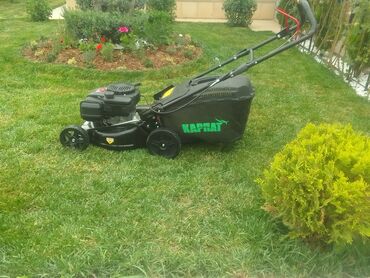 Şitillər: Qazon satışı enli yarpaq danimarka toxumuyla əkilmə qazon satışını -da lalafo.az — 31 Şitillər: Qazon satışı enli yarpaq danimarka toxumuyla əkilmə qazon satışını — 31