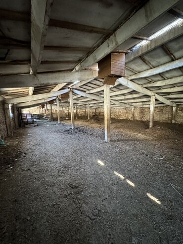 Сельхоз предприятия: Продаю Кошара, 130 соток, Действующий, Частично с оборудованием, Электричество, Канализация, Отопление — 16