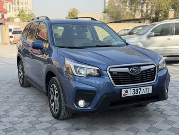 аварийный форестер: Subaru Forester: 2019 г., Вариатор, Бензин, Кроссовер
