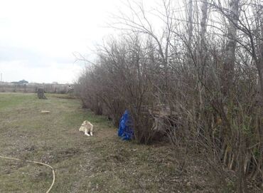 Uzunmüddətli kirayə mənzillər: *Təcili kirəyə EV. Məhləli Ev Kiçik ev təsərrüfatı üçün əlverişli — 9