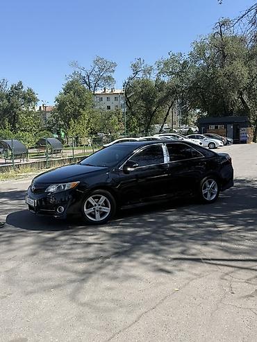 thule багажник: Toyota Camry: 2014 г., Автомат, Бензин, Седан — 5