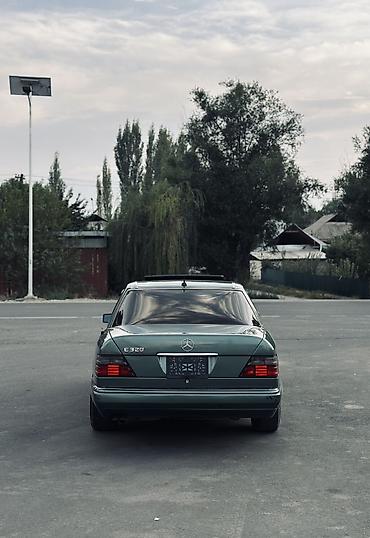 Повара: Повара — 5
