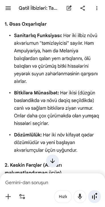 yosun satışı: Akvarium üçün Melanoides tuberculata (Malay boru ilbizləri) - — 3