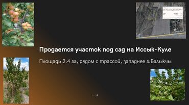 продажа домов в бишкеке дизель: 240 соток, Для сельского хозяйства