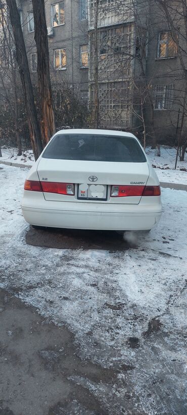 camry 1999: Toyota Camry: 1999 г., 2.2 л, Автомат, Газ, Седан