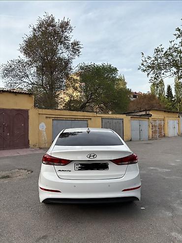 ford focus rs: Hyundai Avante: 1.6 l | 2016 il Sedan — 4