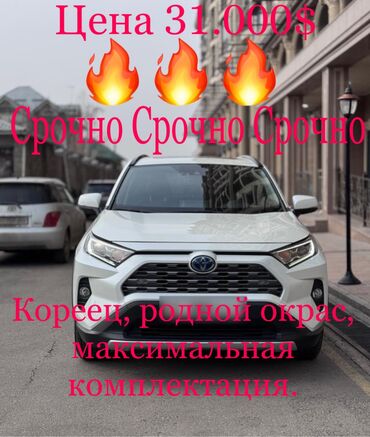 машина опел: Toyota RAV4: 2020 г., 2.5 л, Гибрид