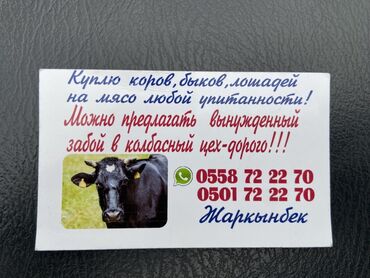 шприц для животных: Сатып алам | Уйлар, букалар | Бардык шартта