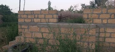 Anbar və emalatxanalar: Ünvan: Qusar şəhəri Ləyər kəndi (ləzgi ləyər) 1hk 68 sot bağ yeri — 12