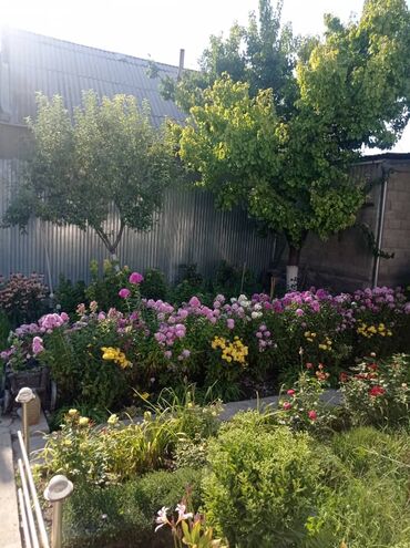 Продажа домов: Дом, 93 м², 4 комнаты, Агентство недвижимости, Косметический ремонт — 8