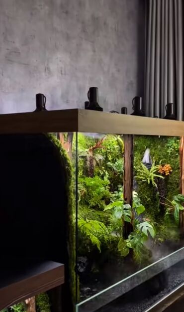 Akvarium aksessuar və ləvazimatları: Su canlıları sqxlamaq üçün uyğumdur. Sistem 24 və 12 volt enerji ilə — 8