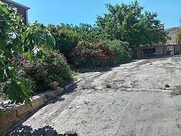 Həyət evləri və villaların satışı: Badamdar qəs. 6 otaqlı, 140 kv. m, Kredit yoxdur, Orta təmir — 7