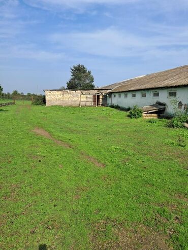 Torpaq sahələrinin satışı: Kənd təsərrüfatı -da lalafo.az — 21 Torpaq sahələrinin satışı: Kənd təsərrüfatı — 21