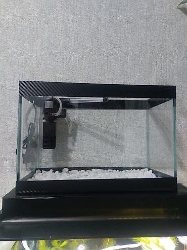 Akvariumlar: Topdan satılır say çoxdu ölçülər 30×25×15 (. 11 litir qapaqlı və -da lalafo.az — 15 Akvariumlar: Topdan satılır say çoxdu ölçülər 30×25×15 (. 11 litir qapaqlı və — 15