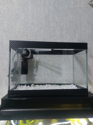 Akvariumlar: Ölçü 30×20×15

Ev və ofis üçün estetik, baxımı asan mini akvaryum — 4