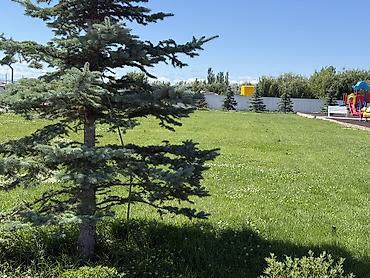Продажа квартир: 2 комнаты, 42 м², 2 этаж, Евроремонт — 15