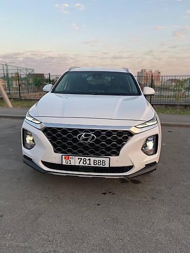 model y: Hyundai Santa Fe: 2019 г., 2 л, Автомат, Дизель, Кроссовер — 2