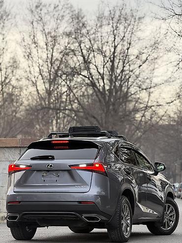 Lexus: Lexus NX: 2019 г., 2 л, Автомат, Бензин, Кроссовер — 6