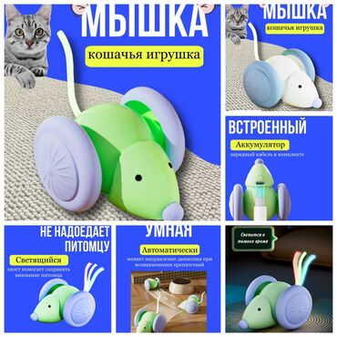 продам домик для кошки: ПРОДАЮ НОВЫЕ ИНТЕРАКТИВНЫЕ МЫШКИ ИГРУШКИ,А ТАК ЖЕ