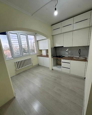 2023: 1 комната, 44 м², ул. Лев Толстой 106 серия улучшенная, 5 этаж — 9